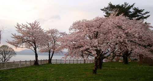 温泉と自然と郷土料理 田沢湖大好き物語 田沢湖畔の風景レポート